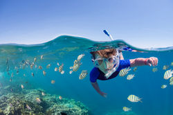 istockphoto_502642217