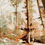 Miniature : October light in the Pilat