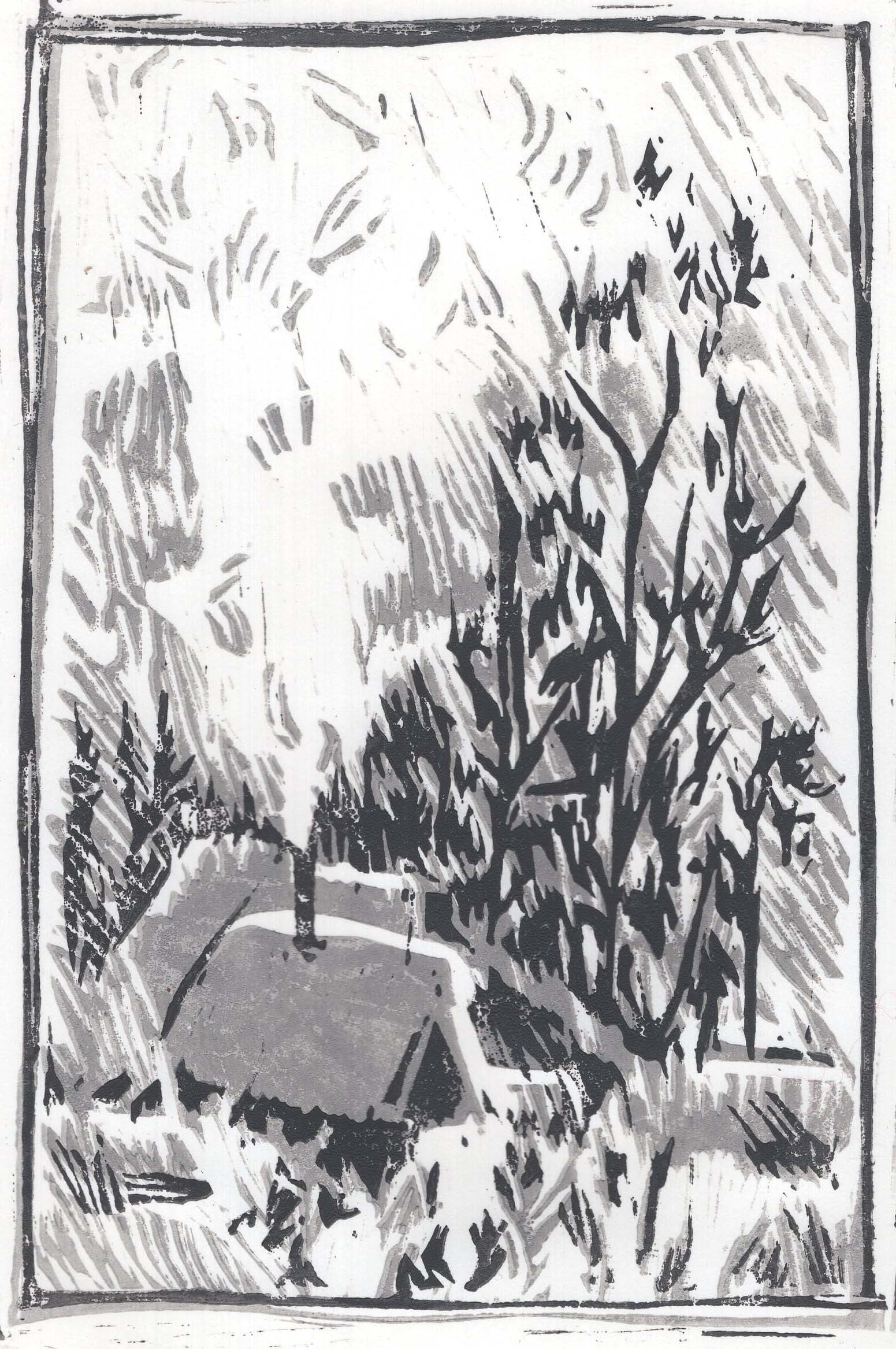 Hidden cabin