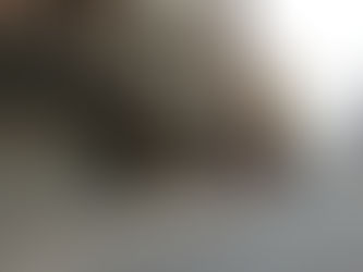 Bengal Tragedy: Mamata Blames ECI and Centre for 110 Lives Lost in SIR Crisis