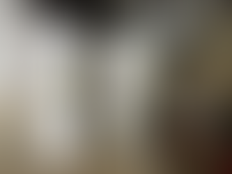 Bosch Ultra - Full Electric with Heat Pump Water Heater - 2025        Evanston, IL