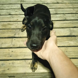 18/03/2026 - MAX cerca casa