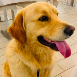 15/07/2026 - CAGNOLONE cerca casa
