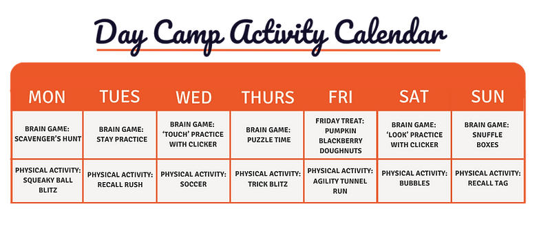 Copy of Pink and Red Grid Fashion Influencer Nostalgia Instagram Post Set-45.png