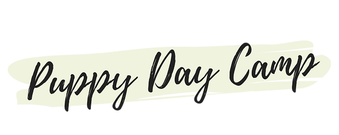 Dog Day Class (8).png