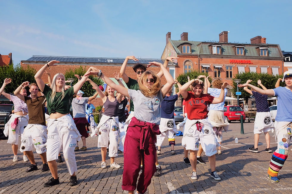 StADsvandrIngEn & UtEDischot