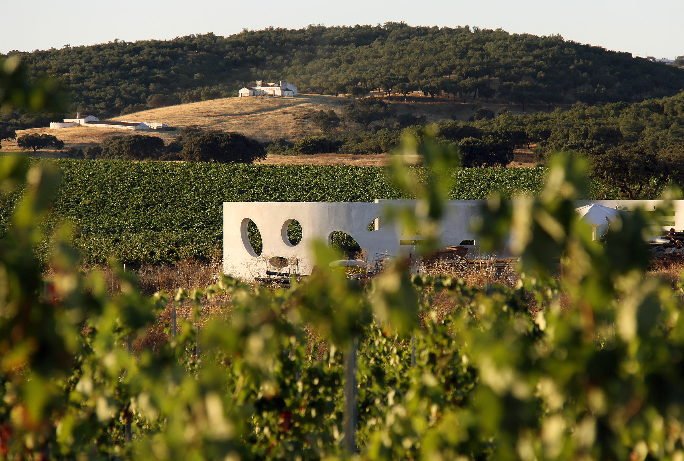 I see the pool with my camera