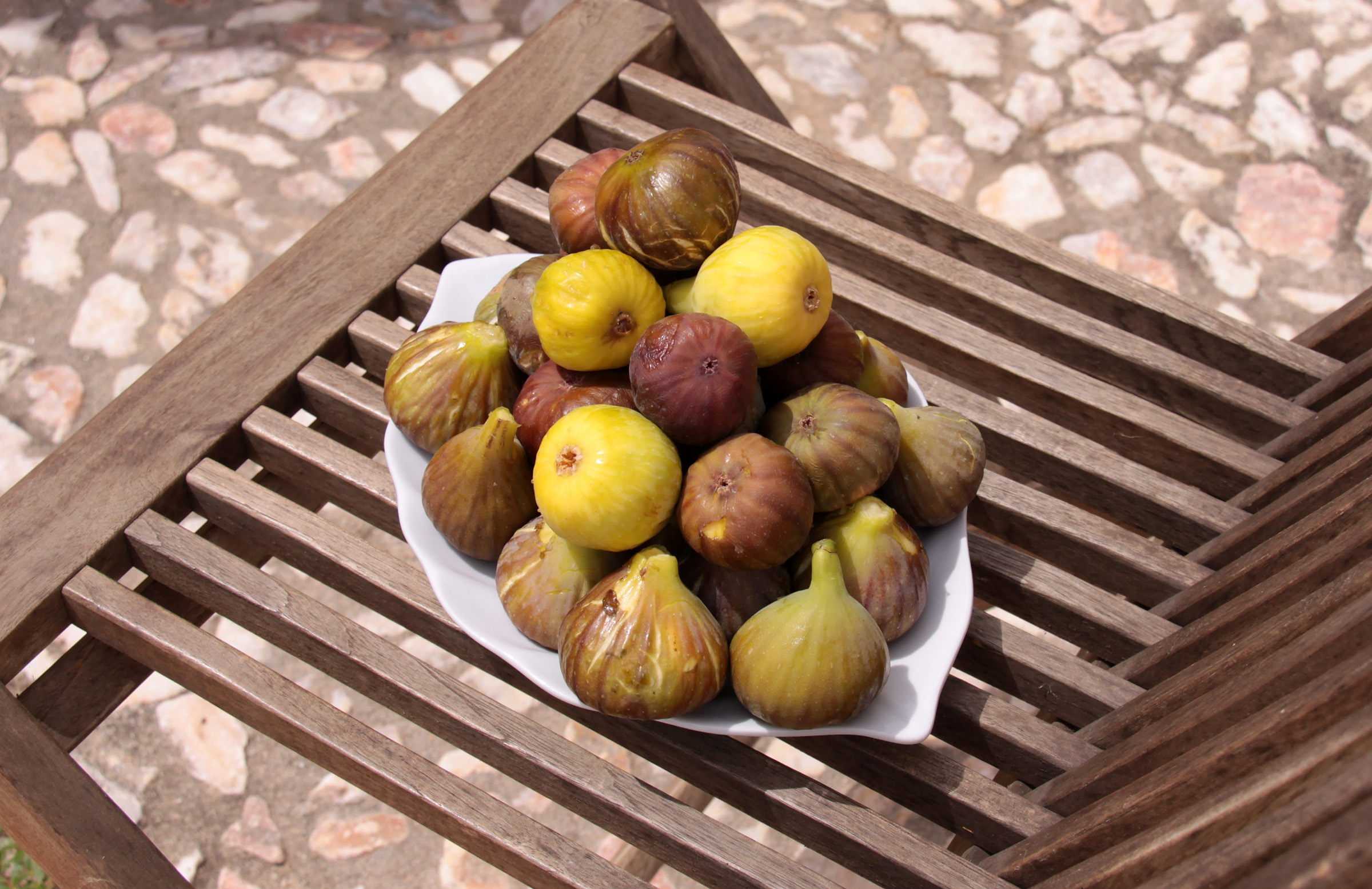 Caught some amazing figs