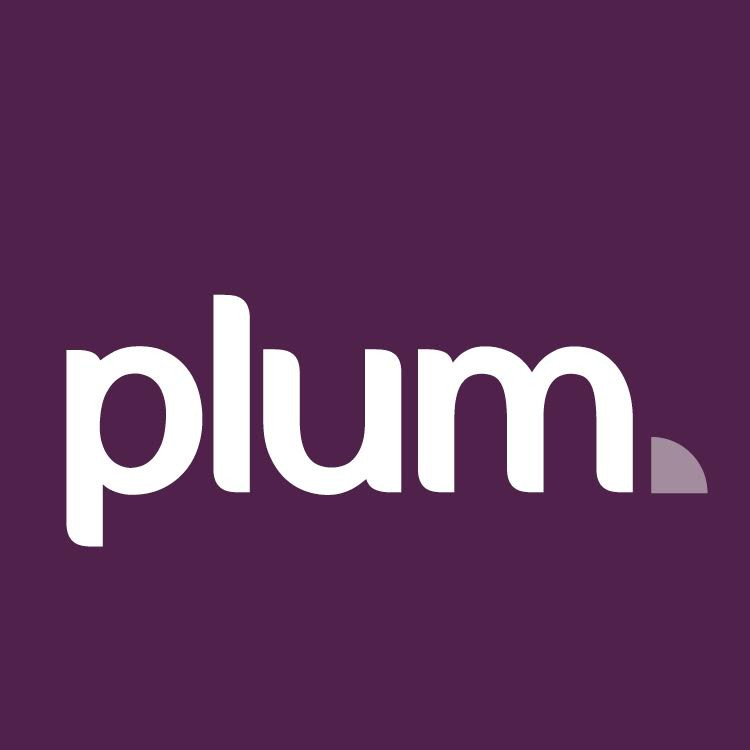 Plum Street Strategy and  Consulting