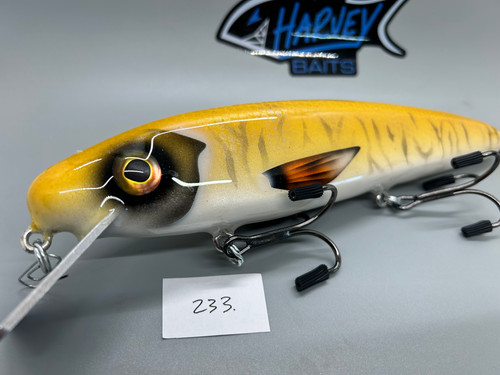 Large Fry Twitch - Image 2