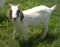 DSCN3349.JPG