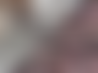 הכשת נחש כלבים וחתולים