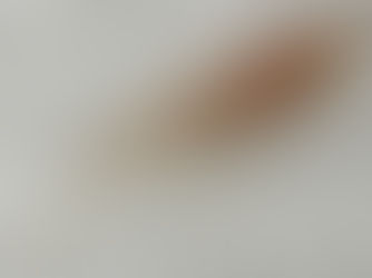 זהירות מלענים!