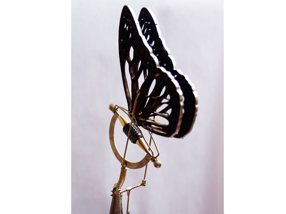 Burnt Mechanical Butterfly 02.jpg