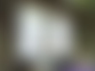 Taygan's Team aims to prevent drug overdose deaths