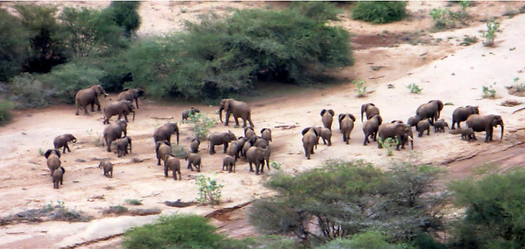 Screen Shot 2020-09-06 at 09.31.19.png