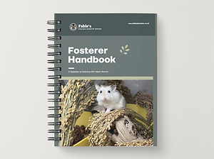 Foster Handbook.png