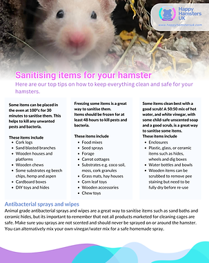Sanitizing Items