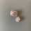 Thumbnail: Casuarina studs