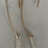 Thumbnail: Twigs