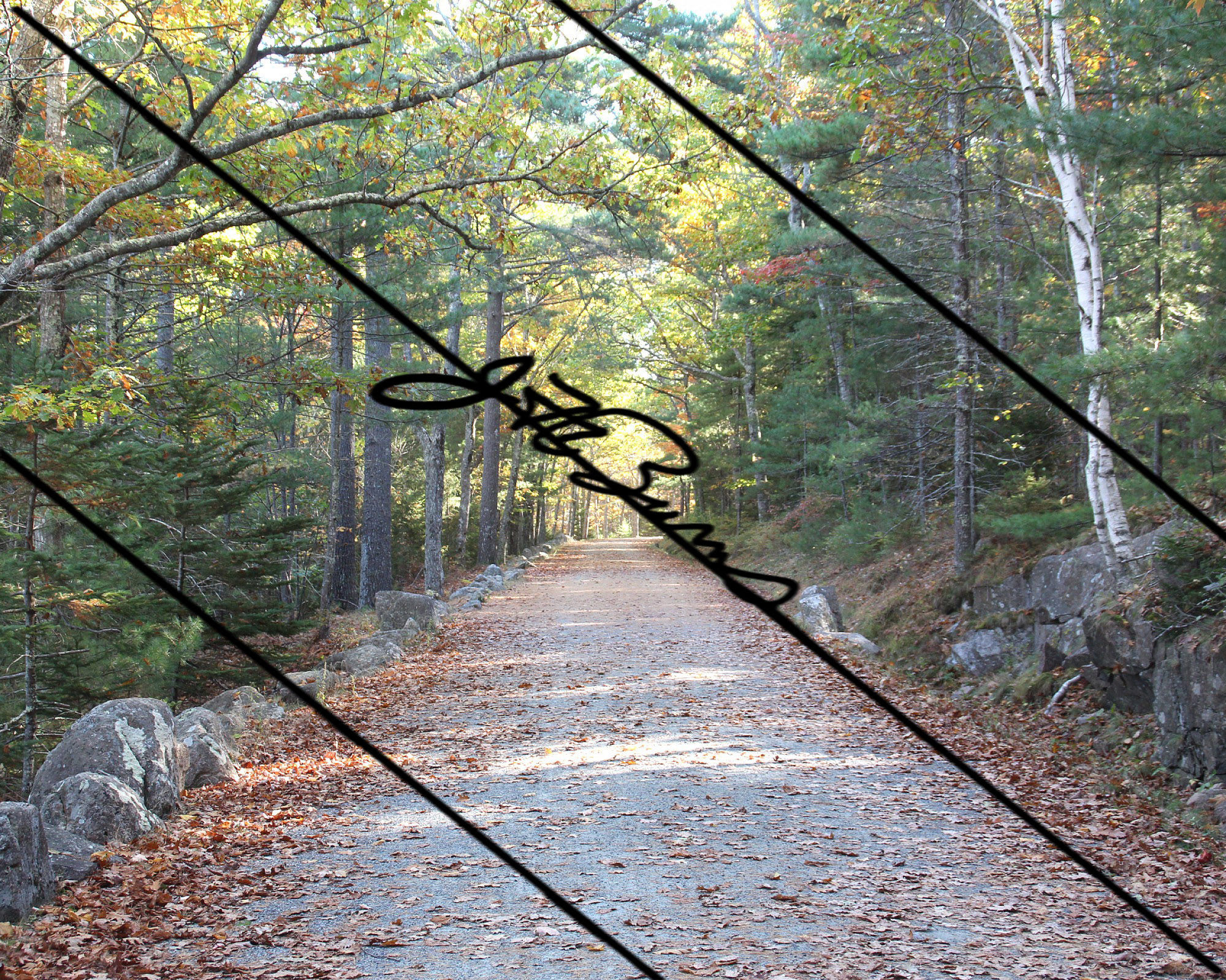 Road less travelled: Double matted