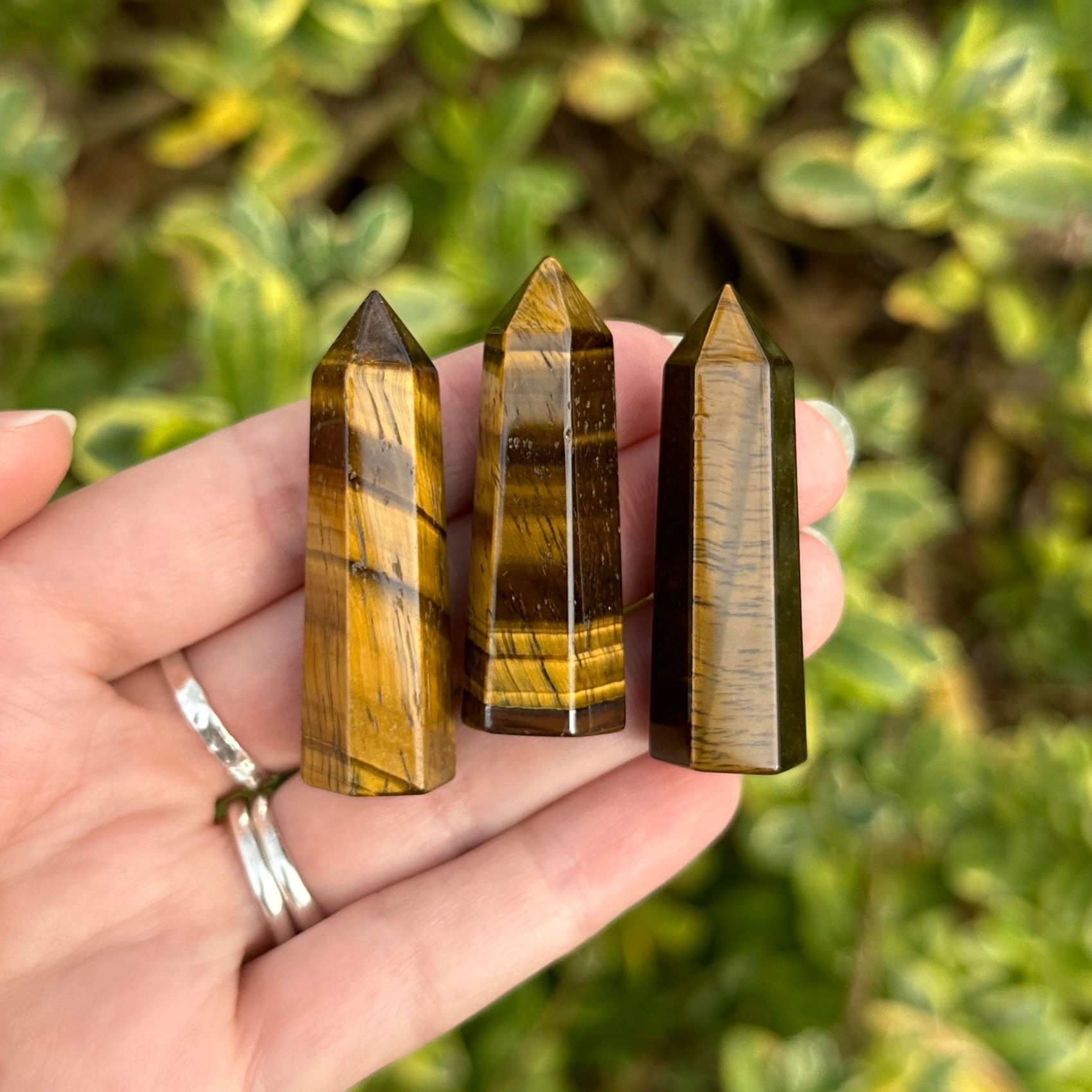 Tigers Eye Point AA Grade