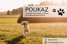 poukaz Tlapkové vzpomínky