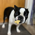 IMG_0953.jpeg