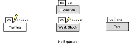 Screen Shot 2021-08-20 at 10.41.41 AM.png