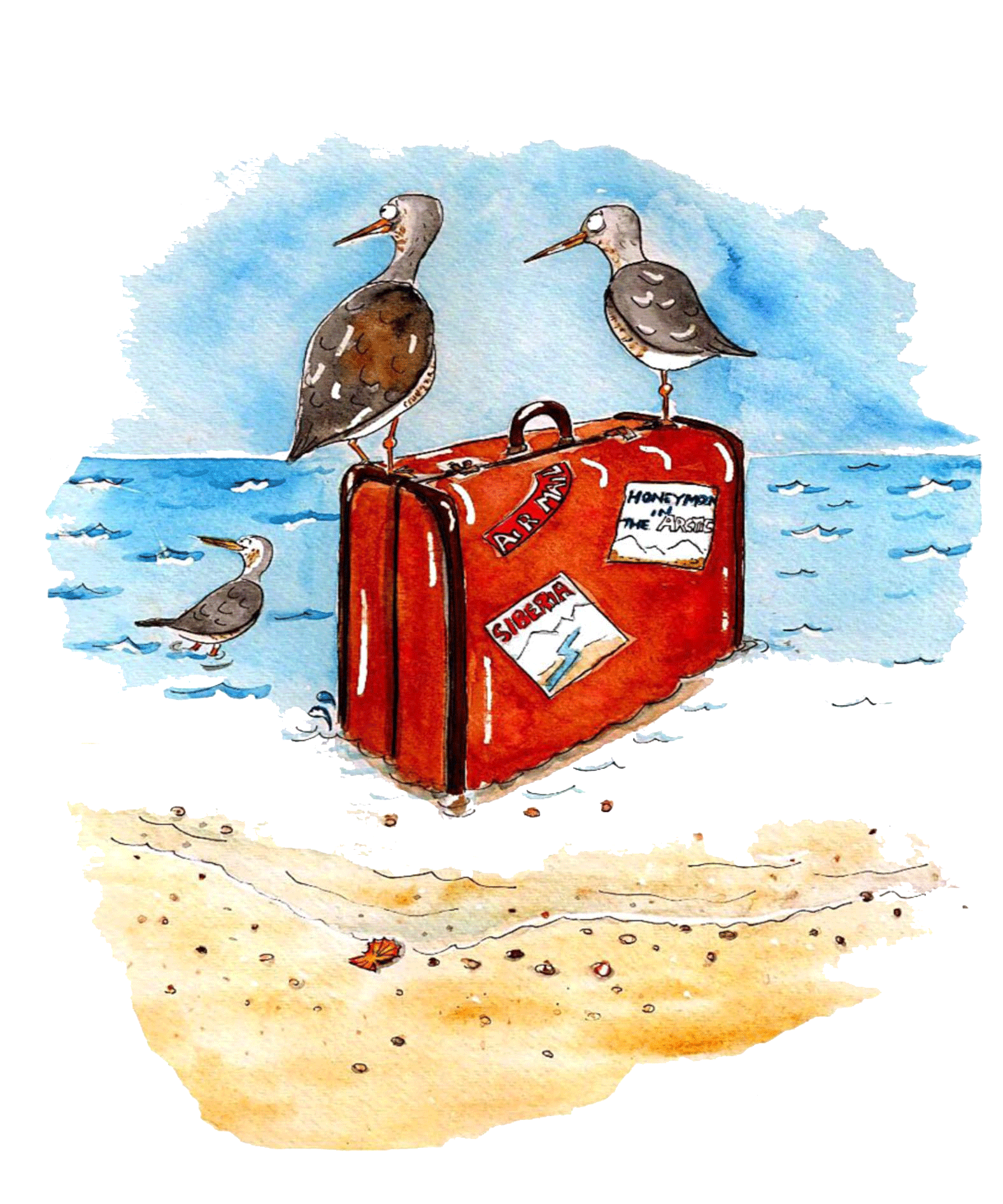 Off with the birds Rothwell Publishing
