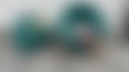 Teilnahme an Putzete in Ulm  