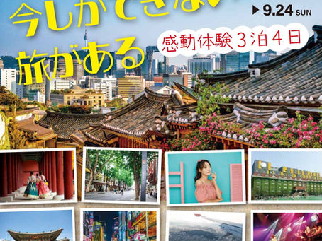 修学旅行 IN 韓国 ３泊４日の感動体験