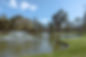 PARKVILLE_NATURE_180924_DUNCOGRAPHIC_HIGHRES-54.jpg