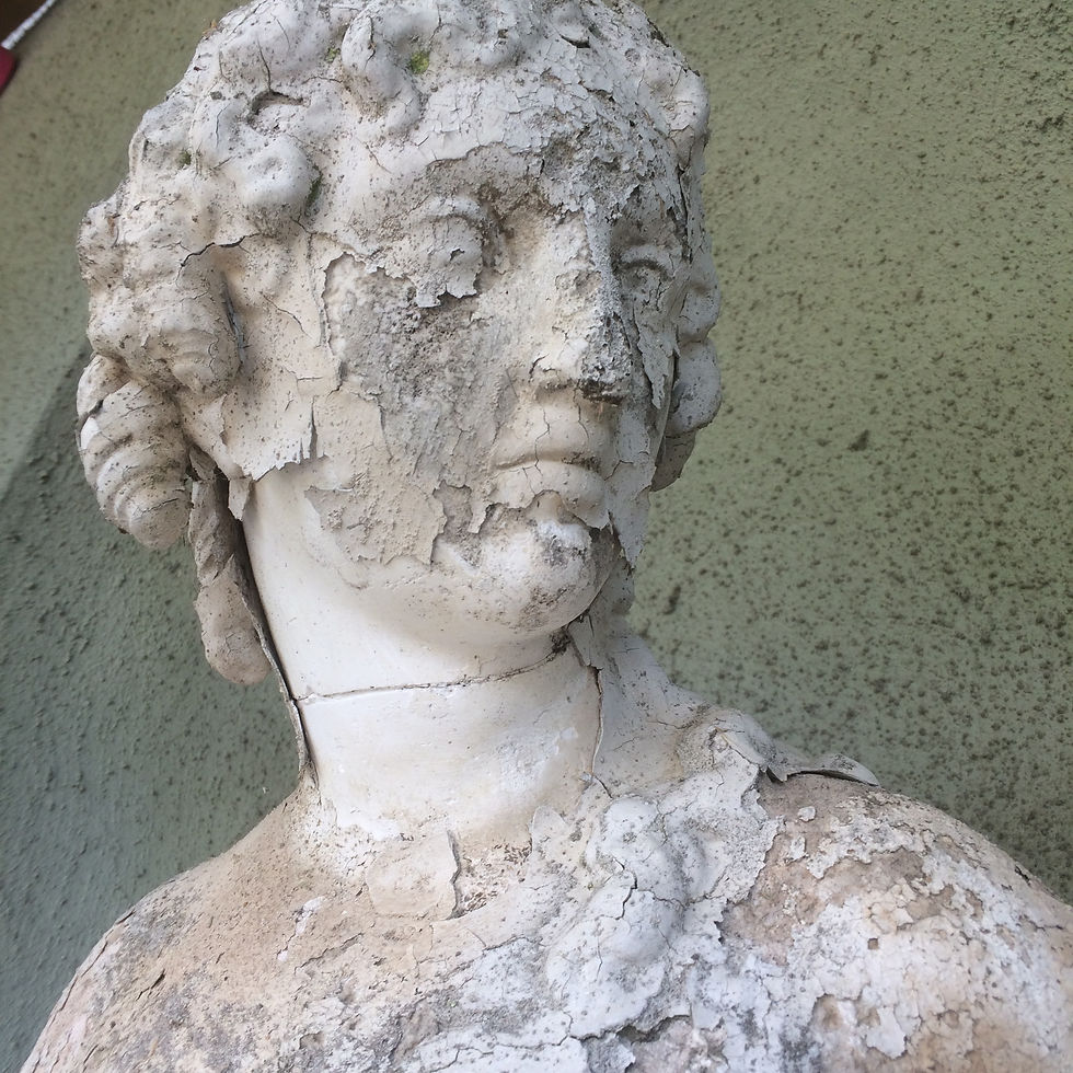 Plaster conservation