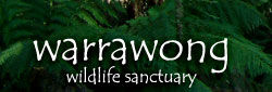 warrawong_logo