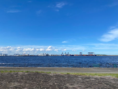 海に行ってきましたよ✨