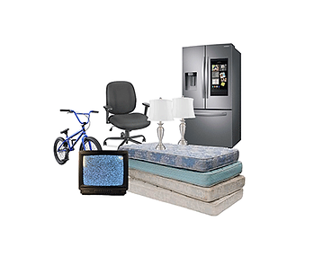 66b4ebd4f5a7cf8bc9967cdc_quarter.png