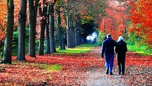 Voiceovers And Successful Relationships – The Not Silent Blog 3/14/17