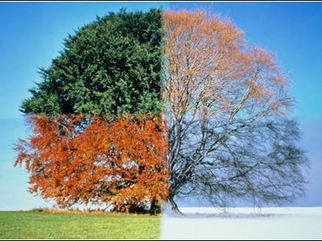 Voiceovers And Season Management – The GKN Weekly Update 9/9/15