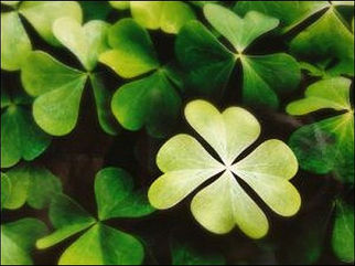 Voiceovers and Luck