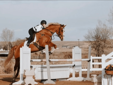 Student Spotlight: McCall Moore