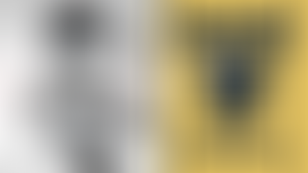 MLS Fantasy 2019: A Graphical History of Major League Soccer