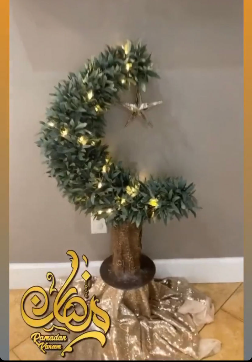 Thumbnail: Olive Crescent Moon Tree 3ft &6ft