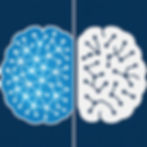 Illustration of two brain halves with connected nodes; left side in blue with light lines, right side white with dark lines; dark blue background.