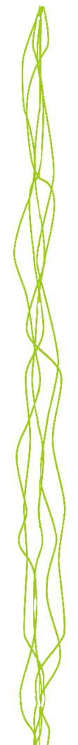 Schlangenlinien_edited_edited_edited.png