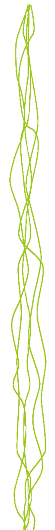 Schlangenlinien_edited_edited_edited.png