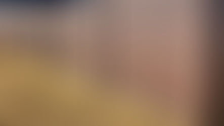 Backyard Showdown: Vinyl vs. Wood Fences - The Lancaster Edition