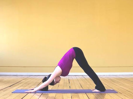 ダウンドッグ (下向きの犬のポーズ)