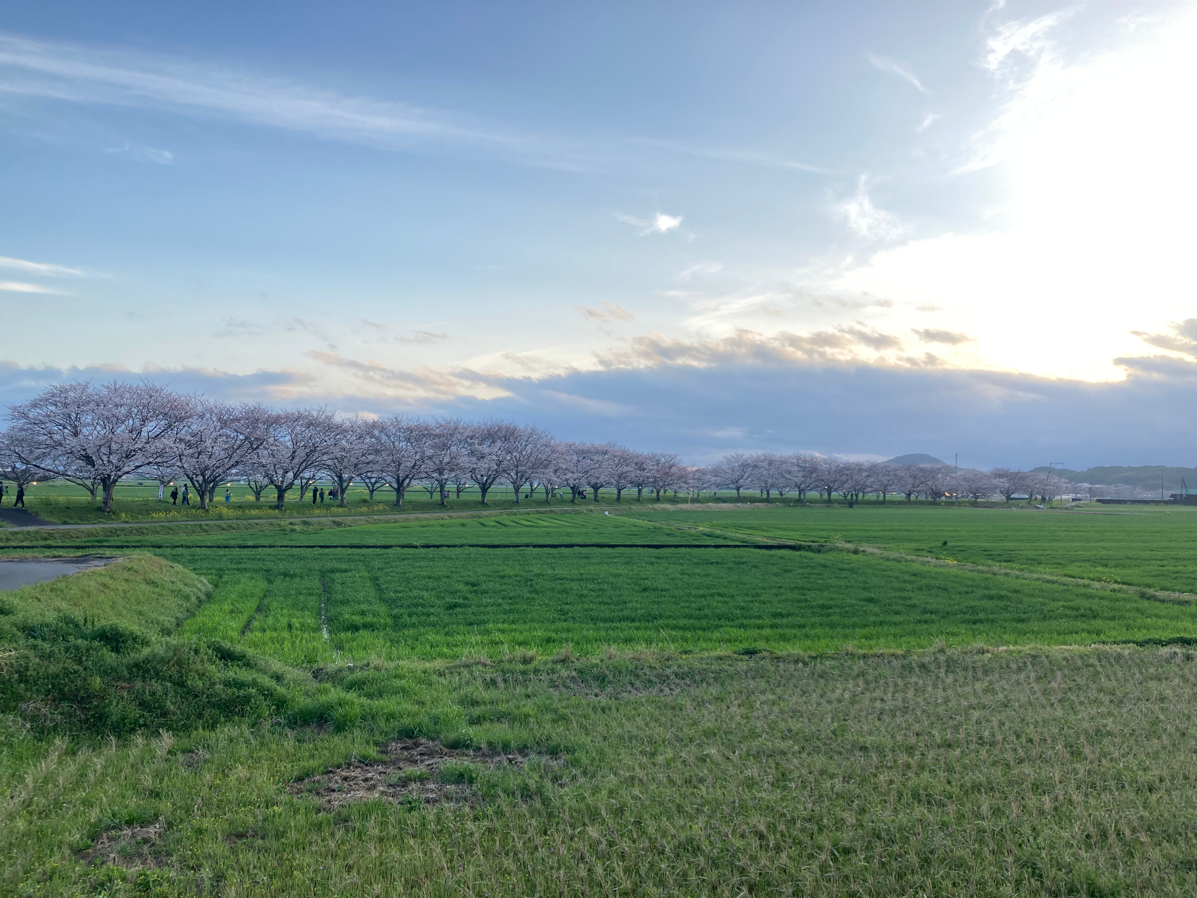 執筆者の写真: Yukiko PREMA