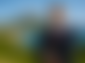 Asset Protection in Nevis: The Essential Guide: 2025 Edition